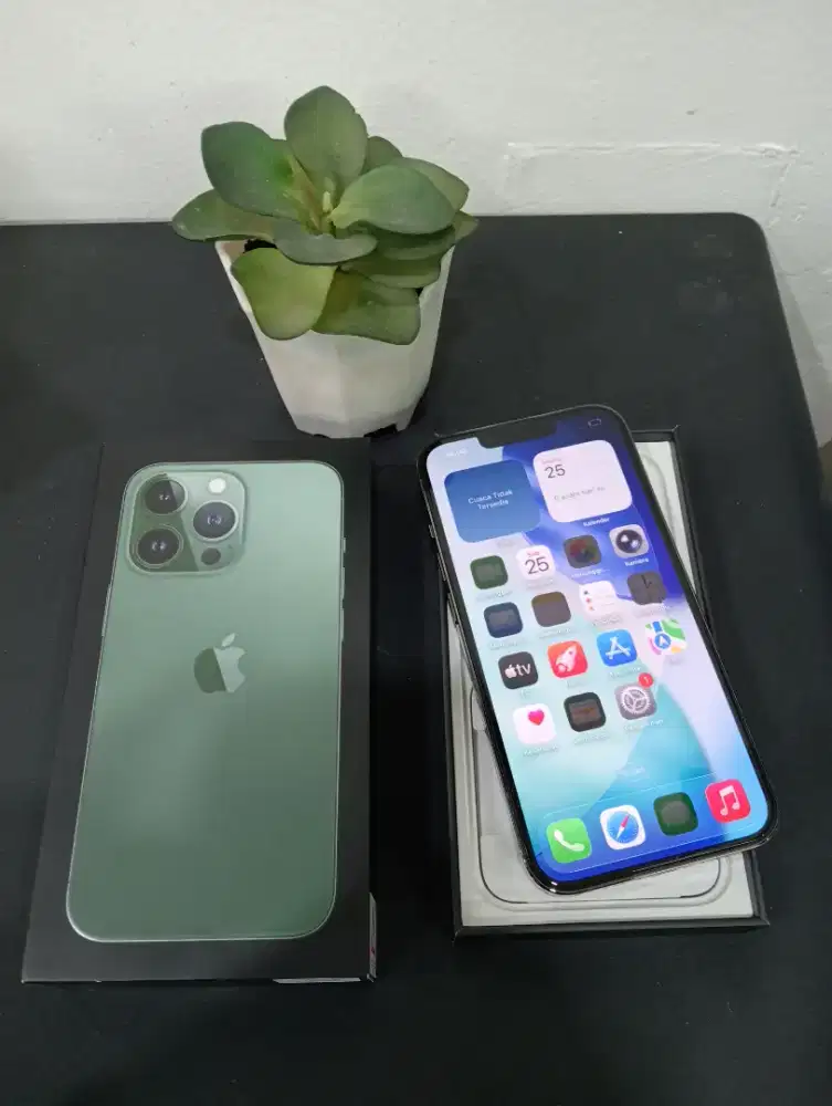 iPhone 13 pro 128GB Green ex iBox