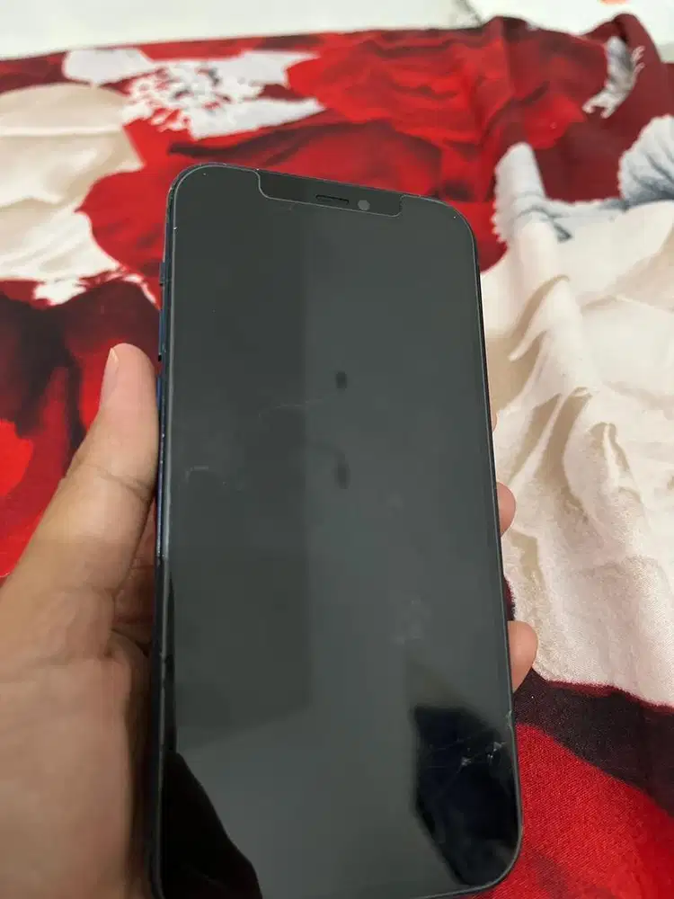 Iphone 12 pro x inter
