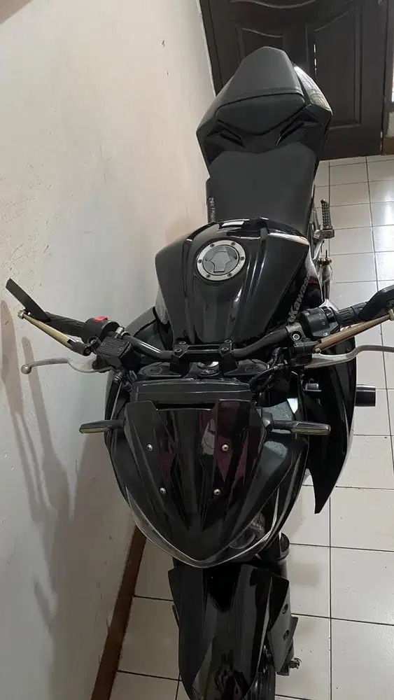 Kawasaki Z 250 2013
