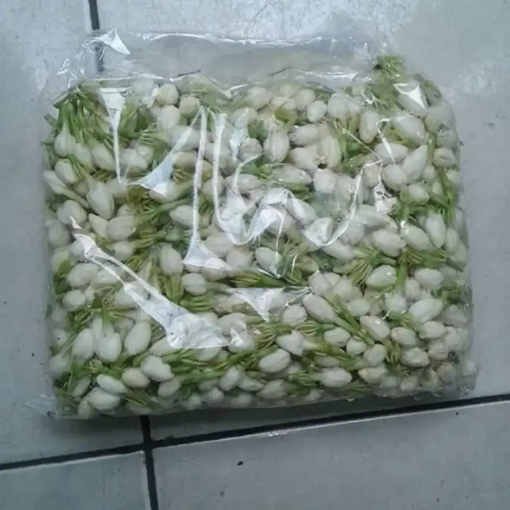 Kembang melati tabur