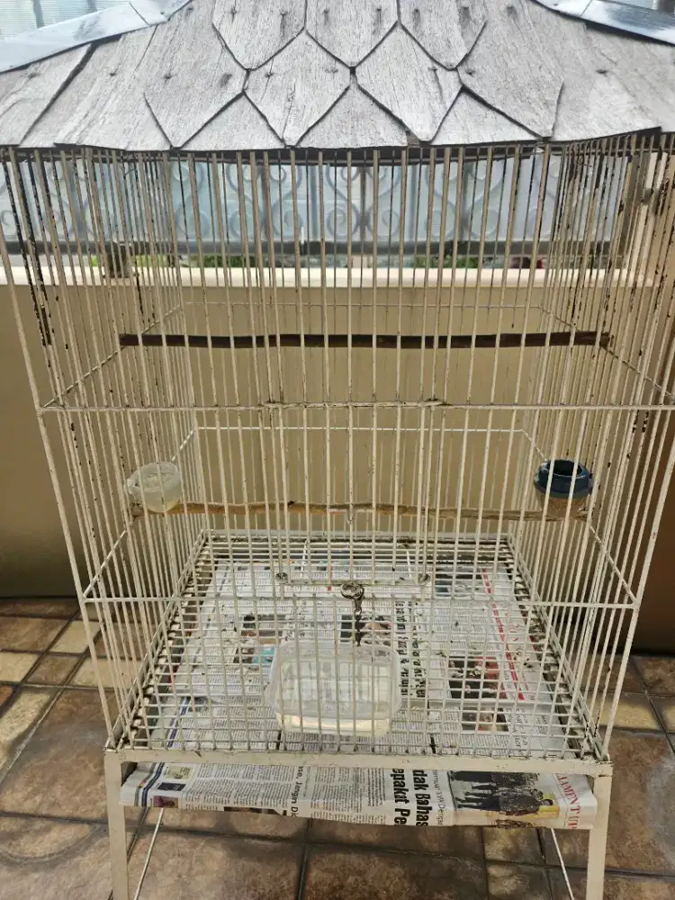 kandang beo dan jalak jari2 besi