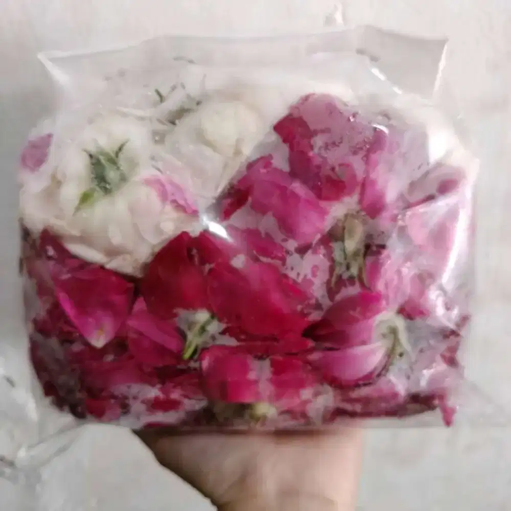 Kembang rose wangi