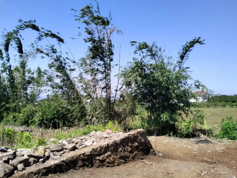 Rukost Inden Bangu 10 Menit Kampus UB