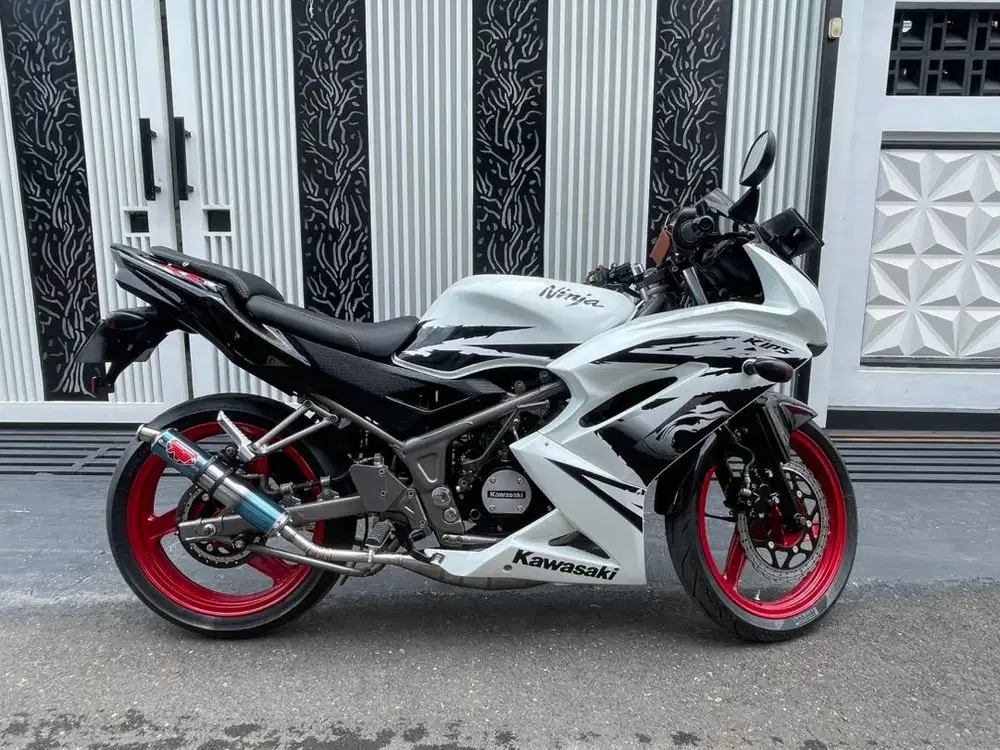 Kawasaki ninja RR New albino