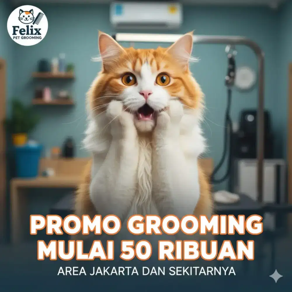 Melayani Groming panggilan kerumah anda