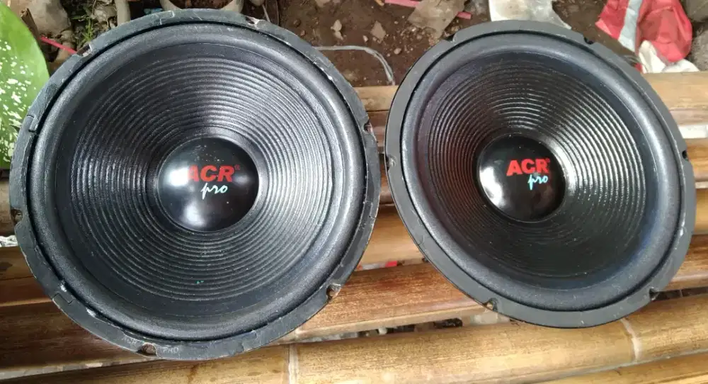 acr woofer sepasang 500wat