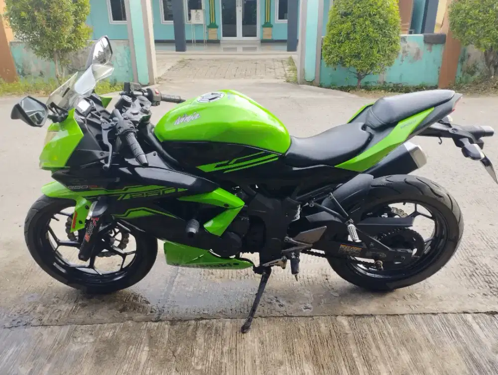 Kawasaki Ninja 250 SL Mono (Nego)