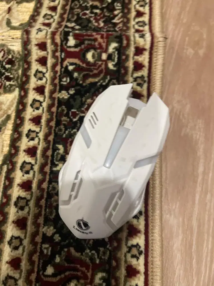Mouse barebone cool