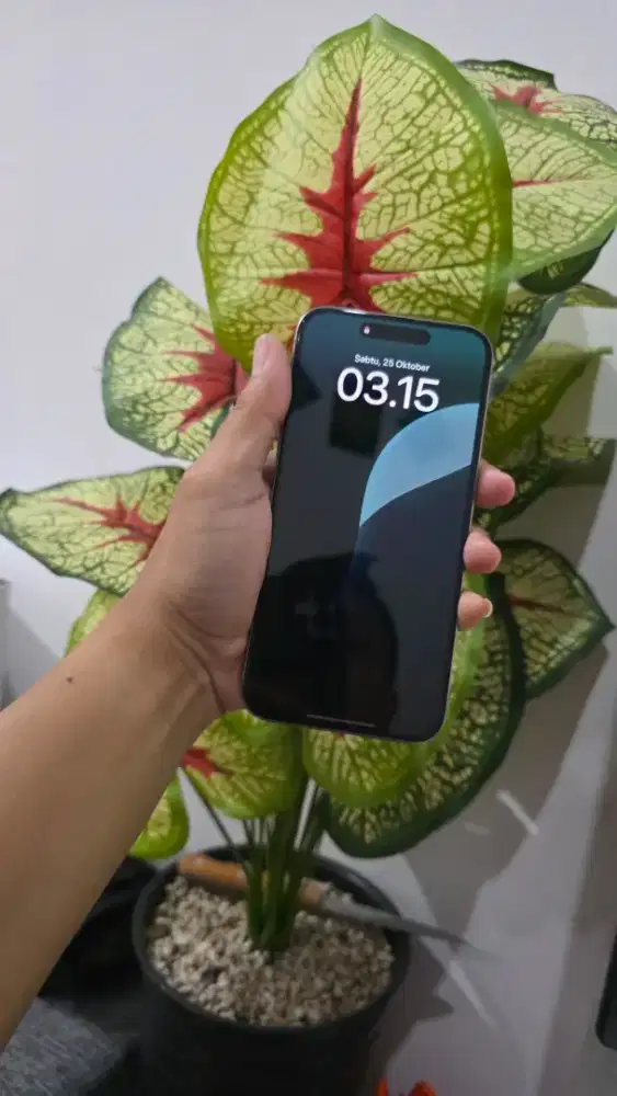 Iphone 15 pro max 256Gb ibox garansi