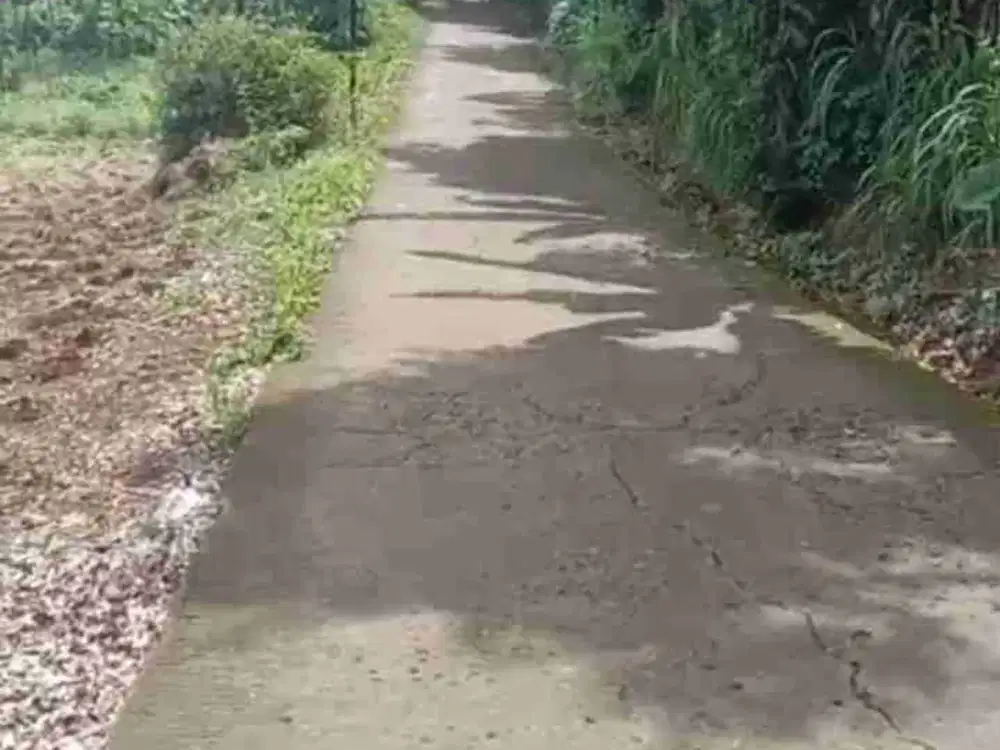 DIJUAL TANAH 3HA UNTUK PERUMAHAN/ GUDANG, BRAYO, BOJA, KENDAL