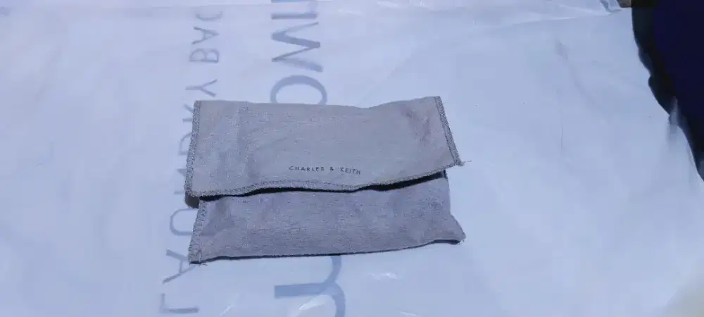 Pouch Charles & Keith