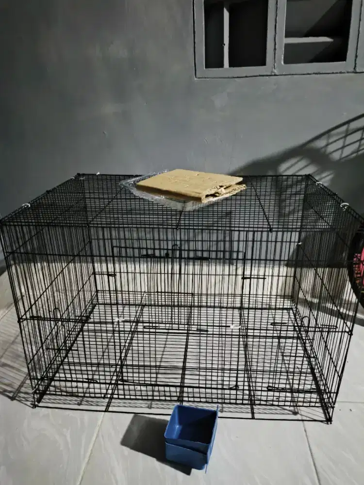 Kandang Kucing Reptil Burung