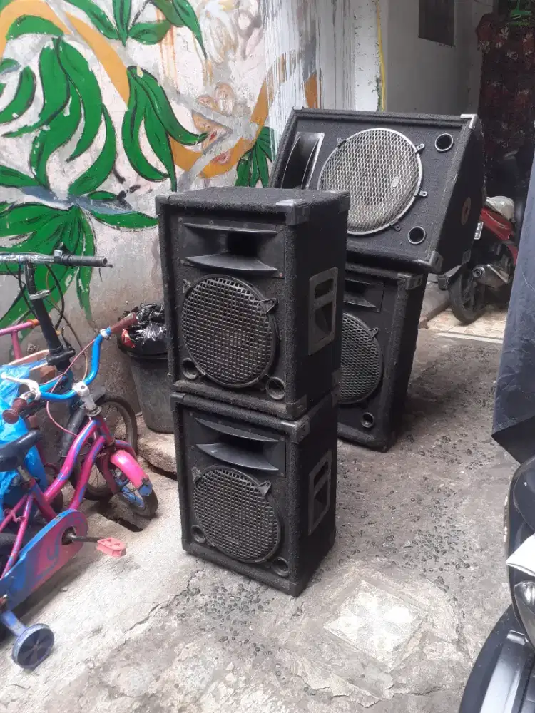 Speaker  pasif 12 in audax +horn tweeter