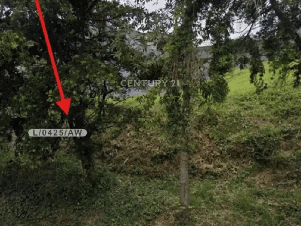 Dijual Tanah Pondok Hijau Jl Setiabudi Lingkungan Sejuk Culdesac