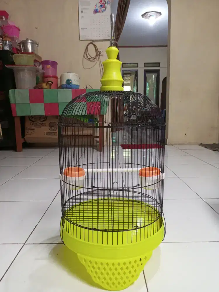 kandang tanggung buRciL