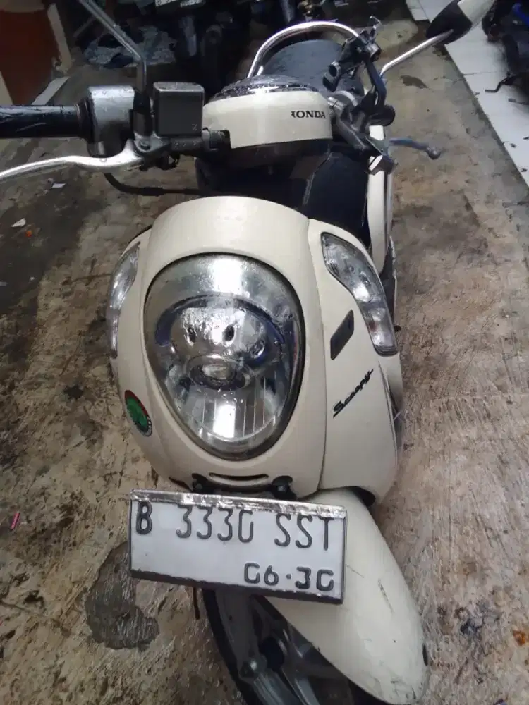 Scopy stylis 2015