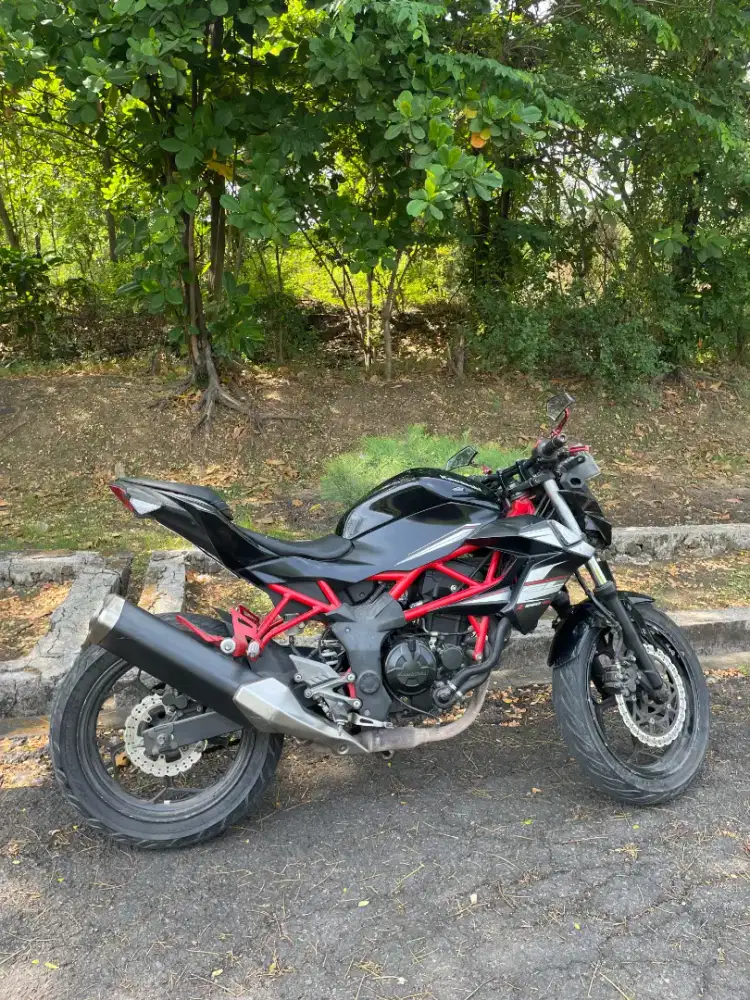Ninja mono 250cc