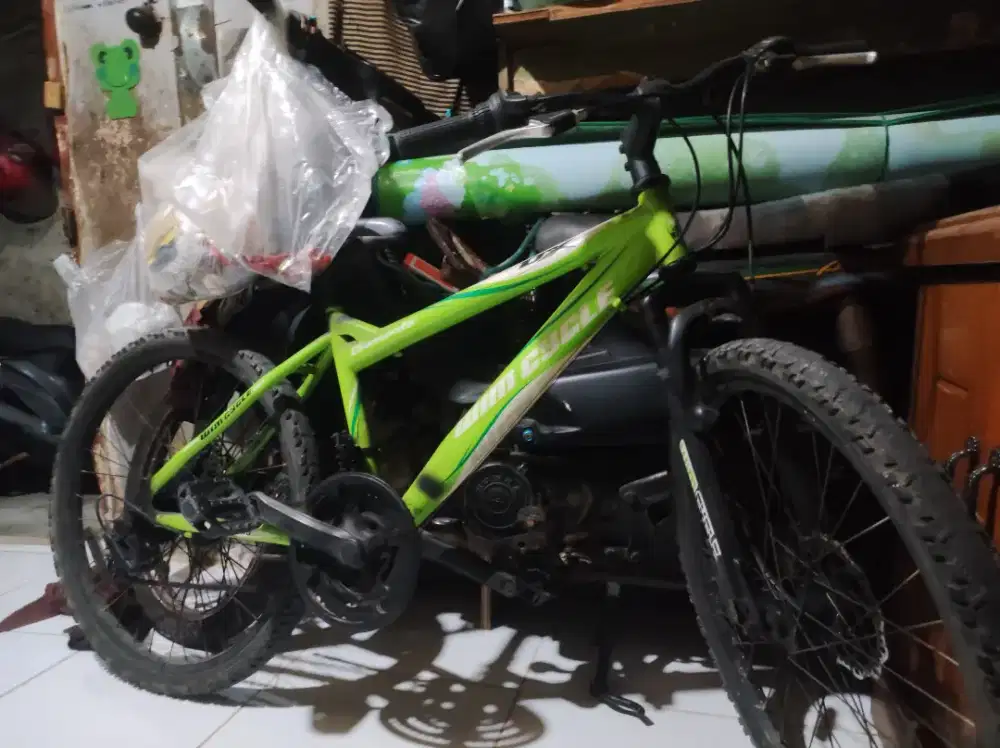 Sepeda Gunung Wimcycle Diamante DX