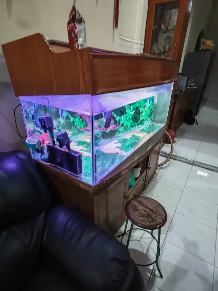 Jual Aquarium bekas