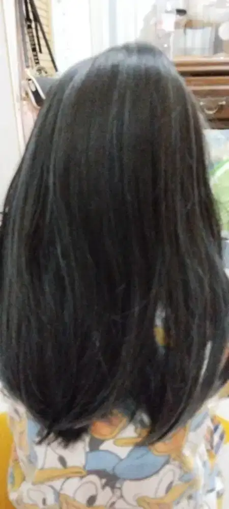 D jual wig han kai