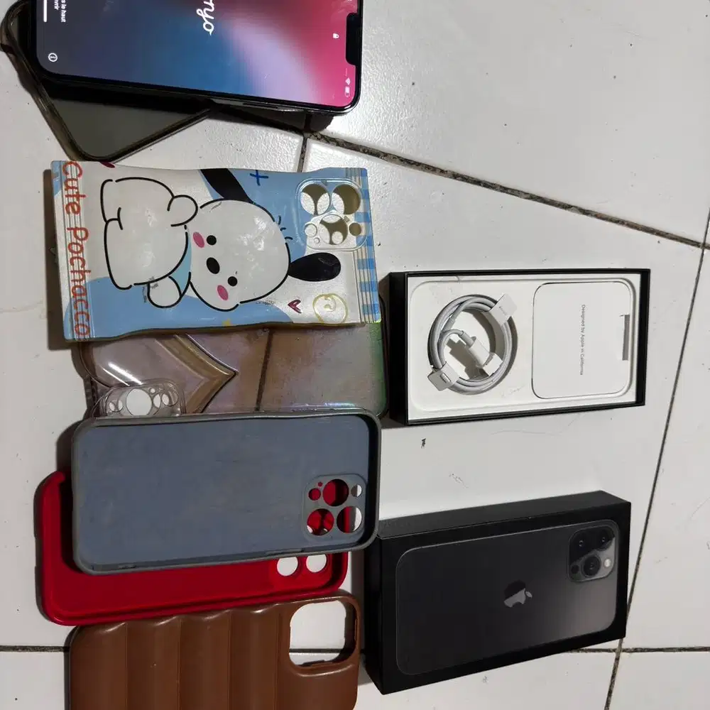 iPhone 13 Pro Max 256 GB Bea Cukai