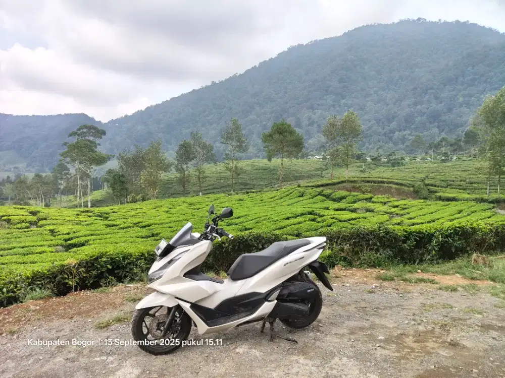 Overkredit motor pcx