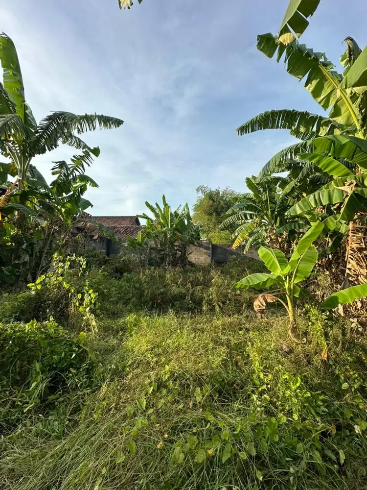 Di jual tanah pekarangan