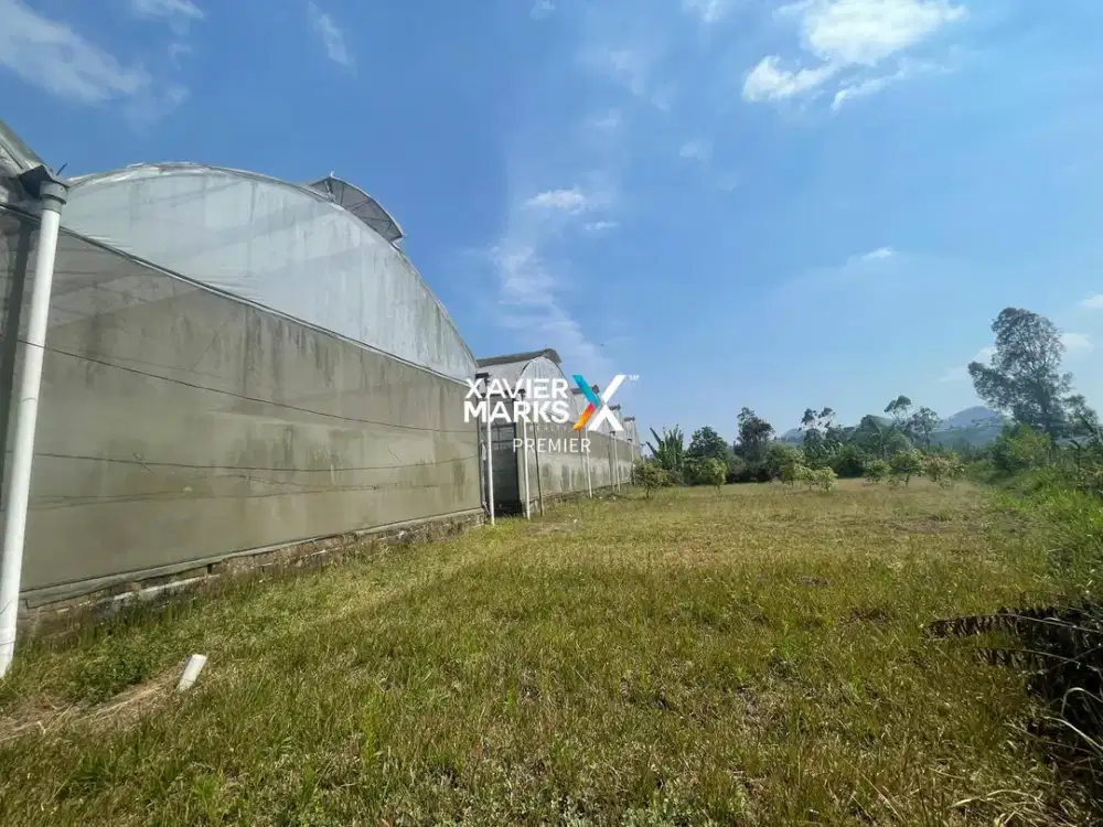 Tanah dan Bangunan Greenhouse Cocok Untuk Agribisni di Gendro Pasuruan