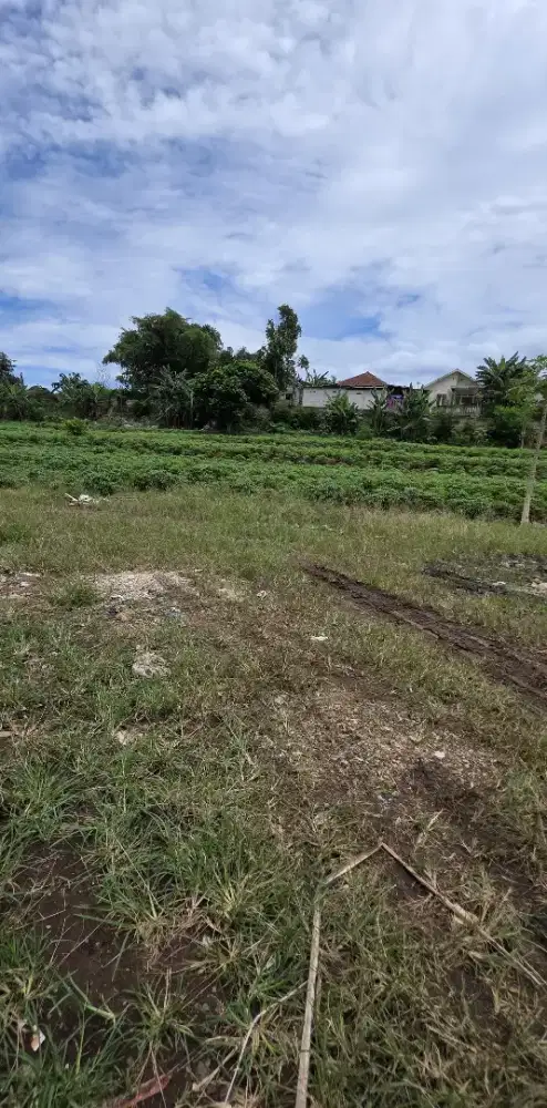 Dijual Tanah Dekat Pendopo 45 Resot Jl.Raya Parung Bogor