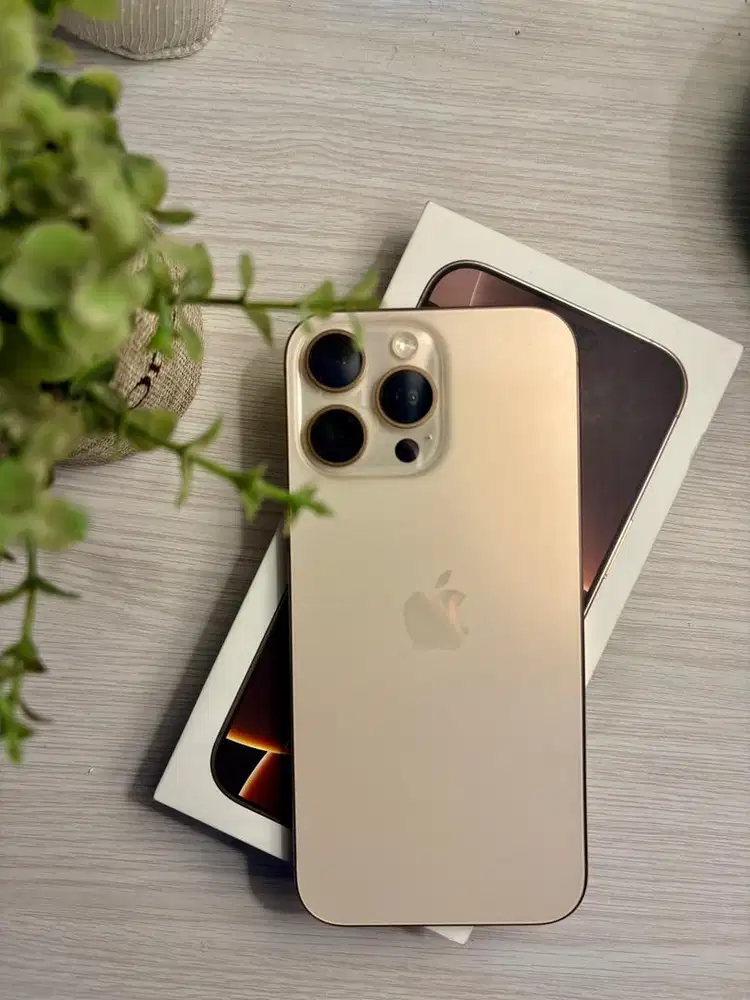 iPhone 16 Pro Max 1TB Beacukai