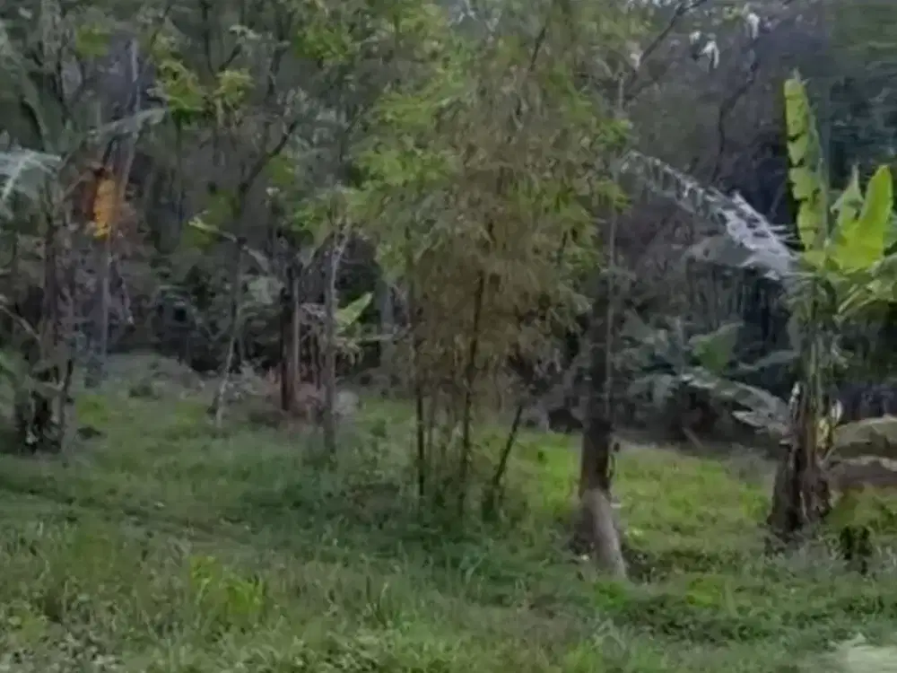 Dijual Lahan Murah Super Strategis Pekarangan Lokasi Bandungan,Semarang Luas 20000m2