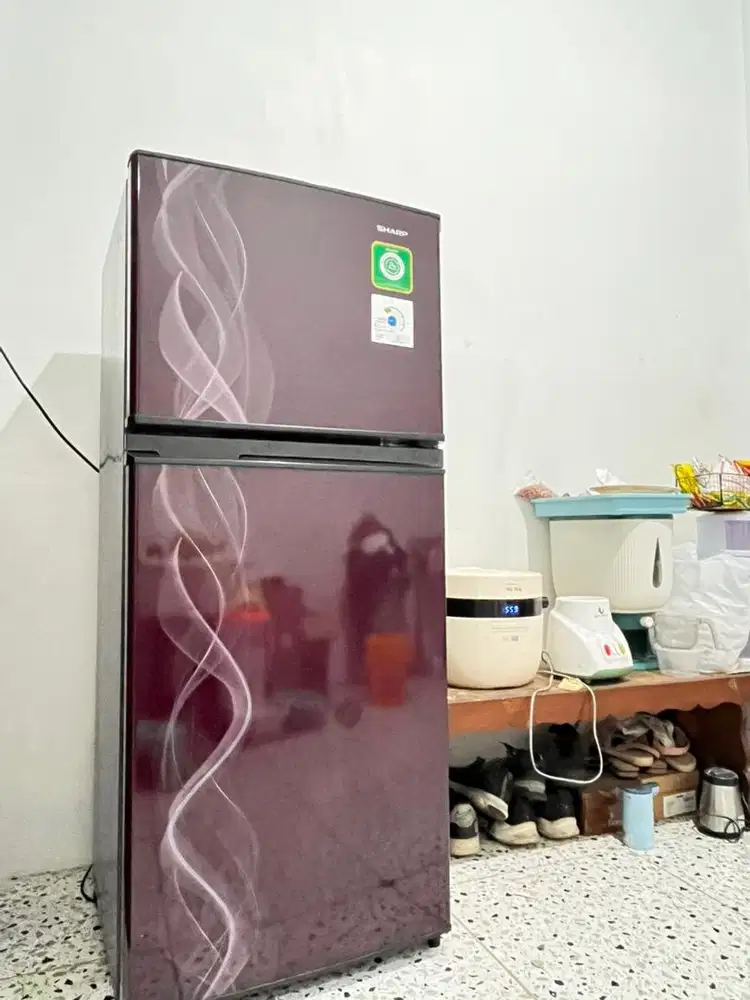 kulkas sharp 2 pintu sj-197nd