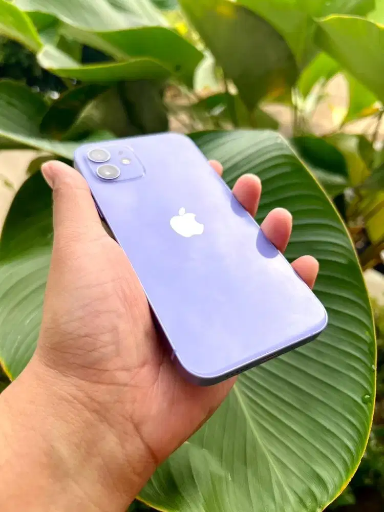 Iphone 12 256 GB Purple