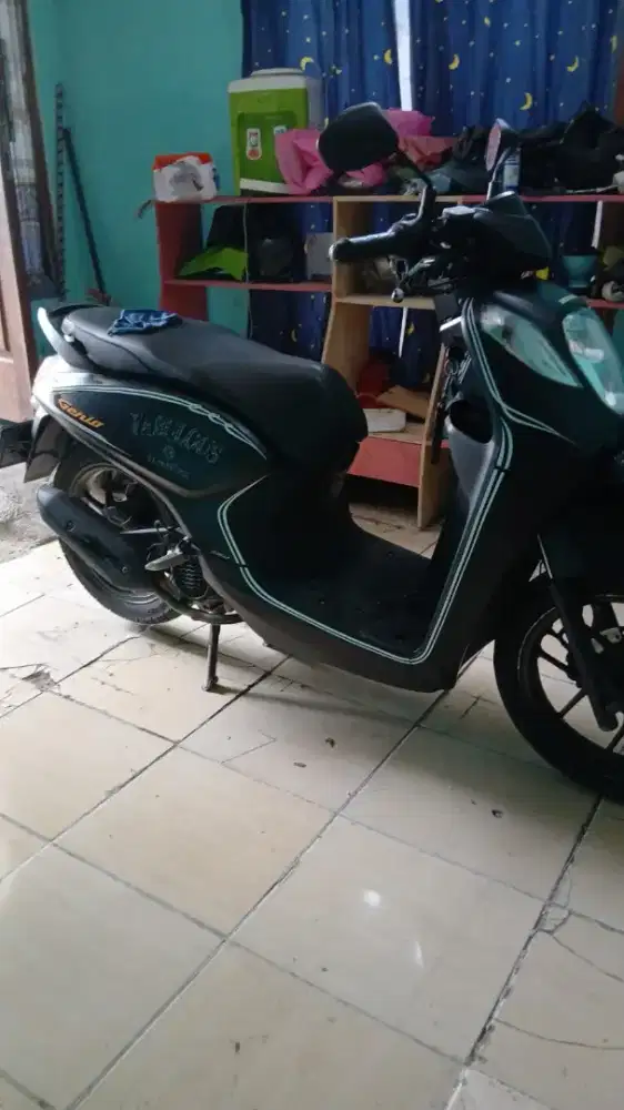 Honda Genio 2019