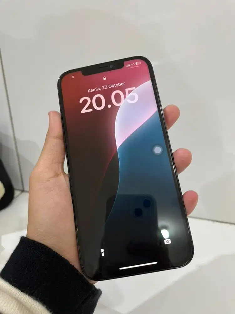 Ip 12 Promax 256 Gb