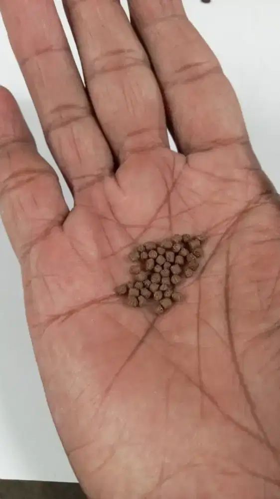 Pakan ikan pellet 1 sak 30kg murah
