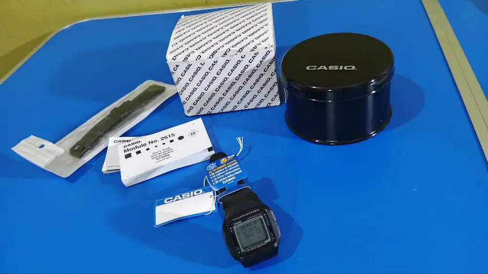 Casio Digital DataBank
