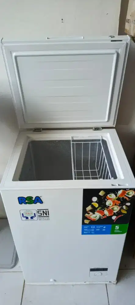 Frezer Box 100 Liter