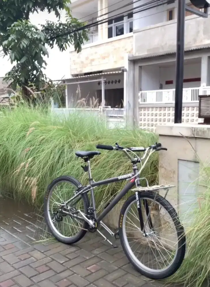Commuter Bike Wimcycle