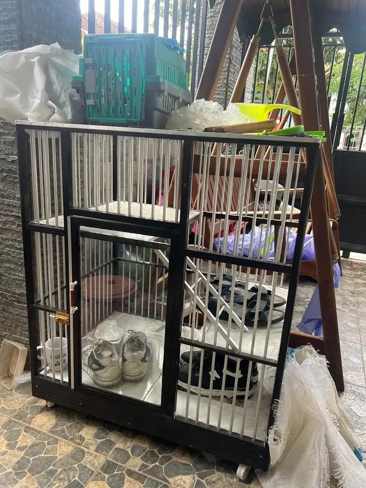 Kandang Kucing Istimewa