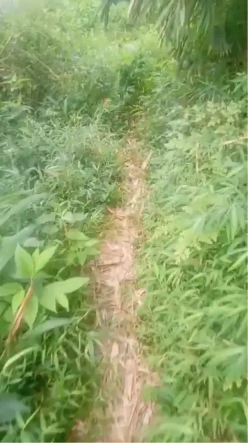 Di Jual tanah Kebun Hak Milik cocok buat tempat Wisata