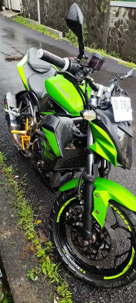 Ninja 250 SL Naked Bike