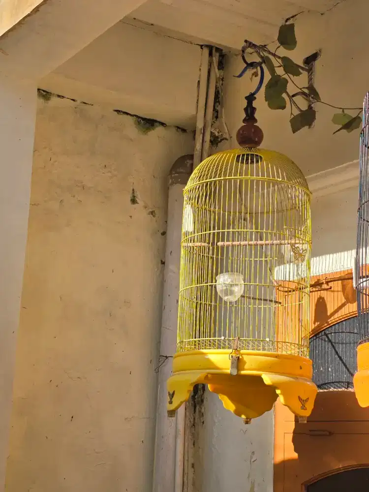 Kandang sangkar lb pvc