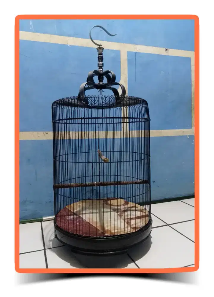 Kandang Bulat Jumbo ,Bintaro