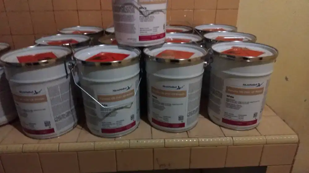 Cat akznobel putih