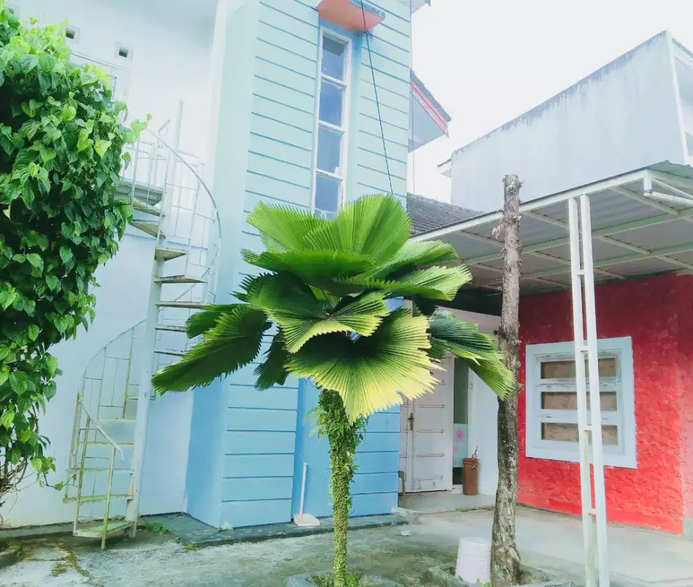 Disewakan big house lt. 1 and 2