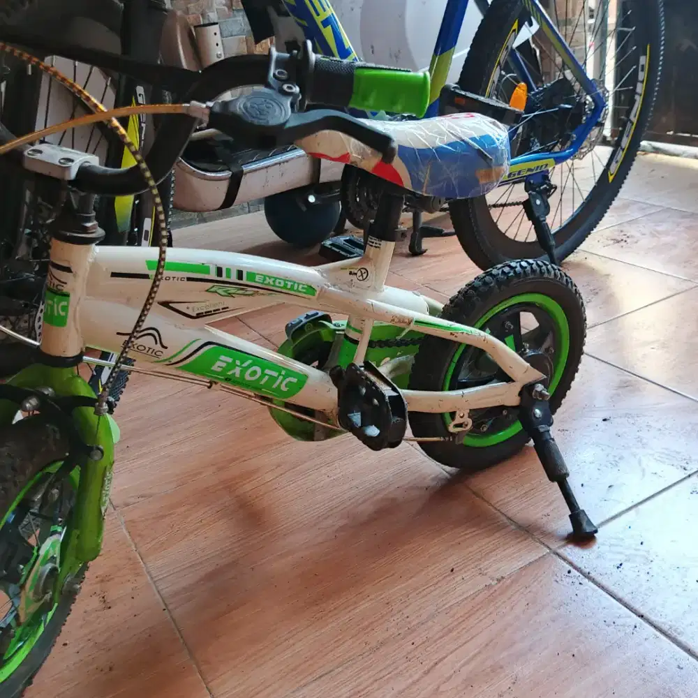 Sepeda anak exotic ukuran 12