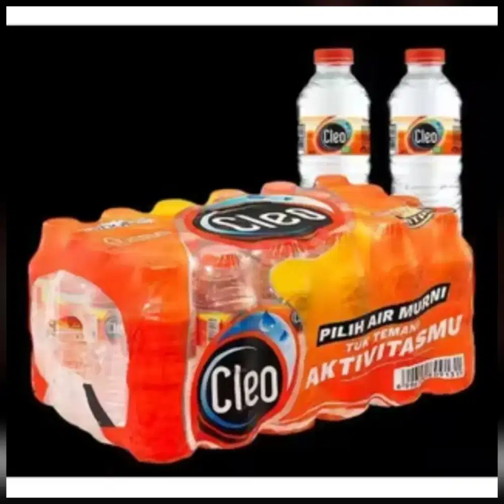 HARGA PROMO: Air Mineral Cleo 220ml (24 pcs)