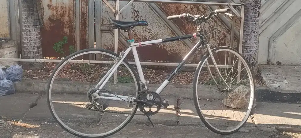 Sepeda fixie bekas pakai