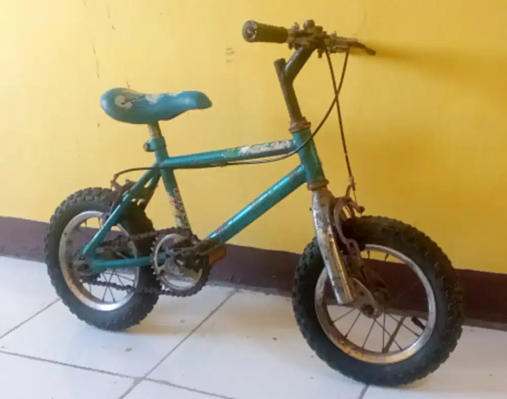 Sepeda MTB anak jadul